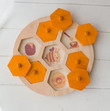 bee life cycle wooden puzzle