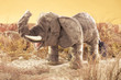 Folkmanis Elephant Puppet - image 6