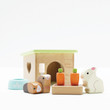 guinea pig and bunny set