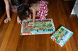 Djeco The Farm 35pc Observation Puzzle - image 17