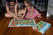 Djeco The Farm 35pc Observation Puzzle - image 18