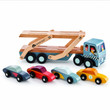 tenderleaf car transporter