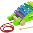 Viga Pull-Along Xylophone - Crocodile