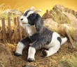 Folkmanis Goat Puppet - image 3