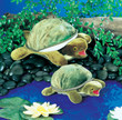 Folkmanis Large Turtle Puppet - image 3