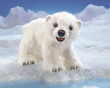 Folkmanis Polar Bear Cub Hand Puppet - image 2