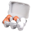 fun factory wooden egg set