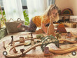 train set up with australian landmarks in it