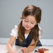 Tenderleaf Tortoise Pet Set - image 7