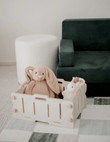 qtoys storage crate