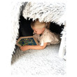 Beleduc Layer Puzzle - Home - image 12