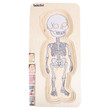 Beleduc My Body Boy - Anatomy Puzzle - image 15