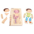 Beleduc My Body Boy - Anatomy Puzzle - image 16