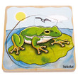 Beleduc Multilayer Puzzle - Life Courses - Frog - image 6
