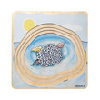 frog life cycle wooden puzzle