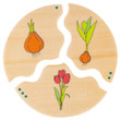 Beleduc Nawito Puzzle Set of 10 - Life Cycle Evolution - image 6
