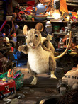 Folkmanis Pack Rat Puppet - image 6