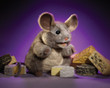 Folkmanis Grey Mouse Puppet - image 10