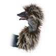 Folkmanis Emu Stage Puppet - image 3