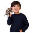 Folkmanis Desert Rain Frog Puppet - image 3