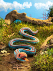 Folkmanis San Francisco Garter Snake Puppet - image 2