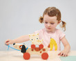 Mentari Puppy On Wheels Pull Along - image 5