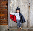 Great Pretenders Toddler Reversible Spider & Bat Cape 6