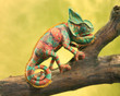 Folkmanis Small Chameleon Puppet - image 7
