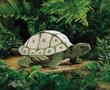 Folkmanis Tortoise Puppet - image 3