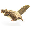 Folkmanis Sugar Glider