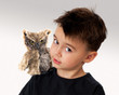 Folkmanis Screech Owl Puppet - image 5