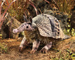 Folkmanis Armadillo Puppet - image 2