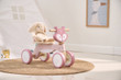 Wooden Trike - Fox