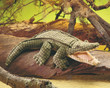 Folkmanis Alligator Puppet - image 3