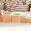 Educo Life cycle blocks 1
