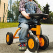 Top Trike Quaddy - image 5