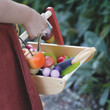 Tenderleaf Wild Wood Foraging Trug - image 8