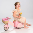 Tenderleaf Scooter with Basket - image 5