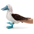 Folkmanis Blue Footed Booby Puppet - image 5