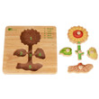 qtoys flower peg puzzle