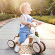 Hape Step-by-Step Tricycle - image 3
