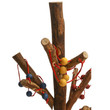 Qtoys Reggio Emilia Threading Tree 1