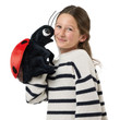 Folkmanis Ladybug Puppet 3