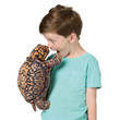 Folkmanis Box Turtle Puppet 4
