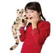 Folkmanis Calico Cat Puppet 3