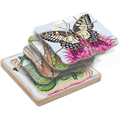 Wooden Layer Puzzles
