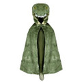 Costumes & Accessories