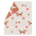 Bassinet Blankets