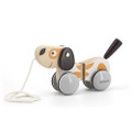 Push & Pull Along Toys
