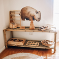 Montessori Shelves